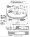 Fig. 01 - Information storage medium and information recording/playback system