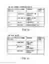 Fig. 22 - Information storage medium and information recording/playback system
