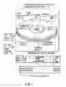 Fig. 02 - Information storage medium and information recording/playback system