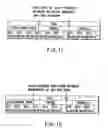 Fig. 10 - Information storage medium and information recording/playback system