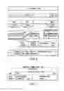 Fig. 06 - Information storage medium and information recording/playback system