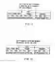 Fig. 10 - Information storage medium and information recording/playback system