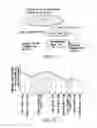 Fig. 12 - Information storage medium and information recording/playback system