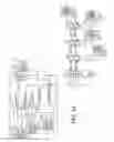 Fig. 04 - Systems and methods of optical path protection for distributed antenna systems