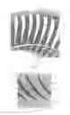 Fig. 02 - Blade retention at a compressor rectifier stage for impact resistance