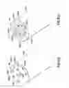 Fig. 100 - Continuous fluid delivery system