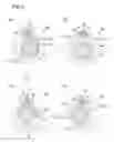 Fig. 06 - EXPANDER