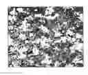 Fig. 01 - FORMABLE SINTERED ALLOY WITH DISPERSED HARD PHASE