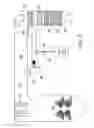 Fig. 03 - SELECTIVE CATALYTIC REDUCTION OF NOx ENABLED BY SIDESTREAM UREA DECOMPOSITION