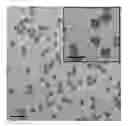 Fig. 01 - SOL-GEL PROCESS WITH AN ENCAPSULATED CATALYST
