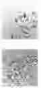 Fig. 01 - Method for preparing single walled carbon nanotubes from a metal layer
