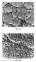 Fig. 03 - Method for preparing single walled carbon nanotubes from a metal layer