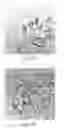Fig. 04 - Method for preparing single walled carbon nanotubes from a metal layer