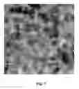 Fig. 08 - Methods of forming metal oxide nanostructures, and nanostructures thereof
