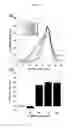 Fig. 10 - STABILIZATION OF MACROMOLECULAR MEMBRANES
