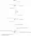 Fig. 62 - Multimeric VLA-4 antagonists comprising polymer moieties