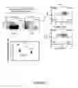 Fig. 03 - Treatment of immunocompromised conditions