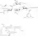 Fig. 90 - Treatment of immunocompromised conditions