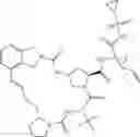Fig. 131 - Therapeutic compounds