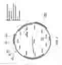 Fig. 03 - METHODS OF USING ISOLATED RECOMBINANT POLYPEPTIDE ANTAGONISTS OF SDF-1