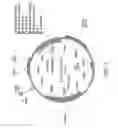 Fig. 06 - METHODS OF USING ISOLATED RECOMBINANT POLYPEPTIDE ANTAGONISTS OF SDF-1