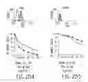 Fig. 10 - Combinations of antibodies selective for DR5 and other therapeutic agents