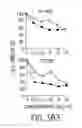 Fig. 14 - Combinations of antibodies selective for DR5 and other therapeutic agents