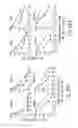 Fig. 22 - Combinations of antibodies selective for DR5 and other therapeutic agents