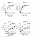 Fig. 25 - Combinations of antibodies selective for DR5 and other therapeutic agents