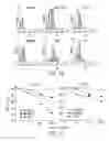 Fig. 34 - Combinations of antibodies selective for DR5 and other therapeutic agents