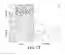 Fig. 36 - Combinations of antibodies selective for DR5 and other therapeutic agents