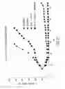 Fig. 41 - Combinations of antibodies selective for DR5 and other therapeutic agents