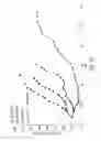 Fig. 49 - Combinations of antibodies selective for DR5 and other therapeutic agents