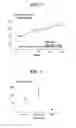 Fig. 03 - Probiotic compositions and process thereof