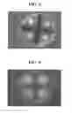 Fig. 06 - Probiotic compositions and process thereof
