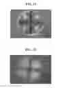 Fig. 07 - Probiotic compositions and process thereof