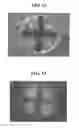 Fig. 08 - Probiotic compositions and process thereof