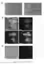 Fig. 19 - DIRECTED DIFFERENTIATION OF STEM CELLS