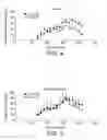 Fig. 04 - Medium chain dicarboxylic acids, their derivates and metabolic disorders