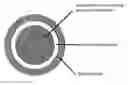 Fig. 01 - INHIBITOR FOR BLOOD PHOSPHORUS LEVEL ELEVATION