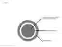 Fig. 02 - INHIBITOR FOR BLOOD PHOSPHORUS LEVEL ELEVATION