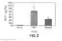 Fig. 03 - Purification and isolation of recombinant oxalate degrading enzymes and spray-dried particles containing oxalate degrading enzymes