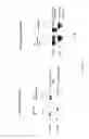 Fig. 14 - Therapeutic agents comprising pro-apoptotic proteins