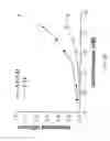 Fig. 35 - Therapeutic agents comprising pro-apoptotic proteins