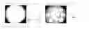 Fig. 01 - Method for fermenting natural materials with salt and fermented extracts prepared therefrom