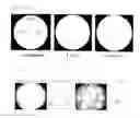Fig. 03 - Method for fermenting natural materials with salt and fermented extracts prepared therefrom
