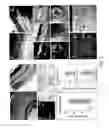 Fig. 03 - COMPOSITION