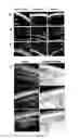 Fig. 04 - COMPOSITION