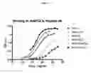 Fig. 02 - Hepatitis C virus antibodies
