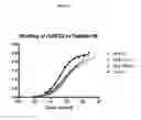 Fig. 03 - Hepatitis C virus antibodies